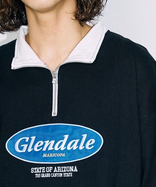 WEGO ヘビーウエイトサークルロゴハーフZIPT（S） ブラック