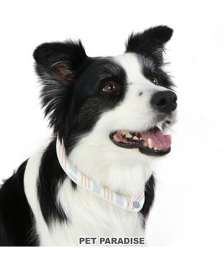 PET PARADISE クールリング 犬 クールネック ひんやり 28℃クールリング 【Ｍ】 リフレクター 水色 ベージュ 反射材付き ベージュ Ｍ