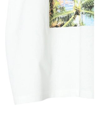 AMERICAN HOLIC Ｉｎ　ｔｈｅ　Ｗａｔｅｒ　Ｐｈｏｔｏ　Ｔｅｅ A