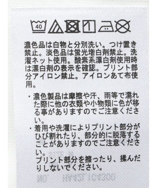 AMERICAN HOLIC Ｉｎ　ｔｈｅ　Ｗａｔｅｒ　Ｐｈｏｔｏ　Ｔｅｅ A