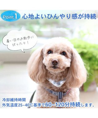 PET PARADISE ペットパラダイス 28℃ クールリング 【ＳＳ】 《 水色 / ベージュ》 水色 ＳＳ