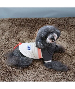 PET PARADISE Ｌｅｅスウェット トレーナー 【小型犬】 グレー グレー