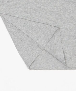 WEGO グラフィックリンガーT（SS） グレー