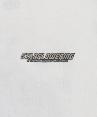 WEGO 【ユニセックス着用ITEM】ラグラングラフィックBIG　T（SS） ブラック