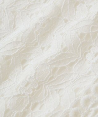 Green Parks ・Ｐｅｔｉｔ　Ｆｌｅｕｒ　フレンチレーシーブラウス Brown