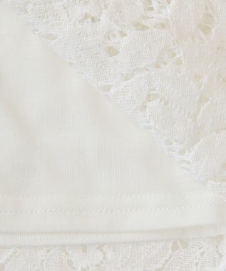 Green Parks ・Ｐｅｔｉｔ　Ｆｌｅｕｒ　フレンチレーシーブラウス Brown