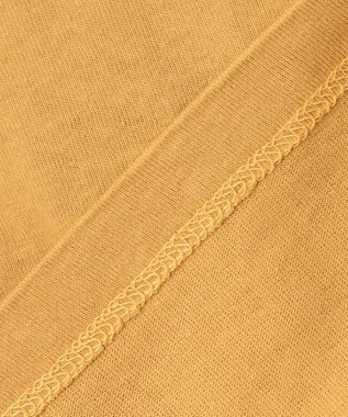 ANY KIDS 恐竜プリント 長袖Tシャツ マスタード（ブラキオサウルス）