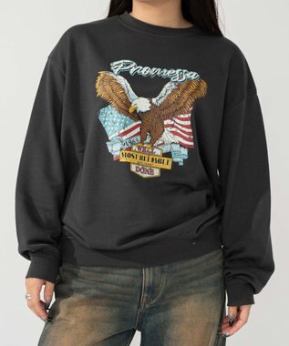 WEGO 【ユニセックス着用ITEM/XSサイズ】アソートグラフィックプルオーバー（2） 柄21