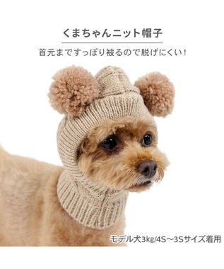 PET PARADISE ペットパラダイス くまちゃん ニット 帽子 小型犬 ベージュ