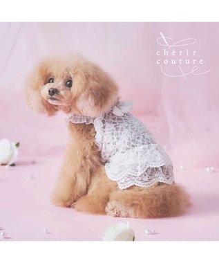 PET PARADISE cherircouture 総レース キャミソール 小型犬
