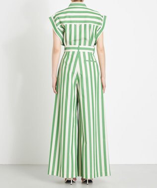 NAVE 【Nave 　洗える】ワイドストライプ　パンツ ライトグリーン系1