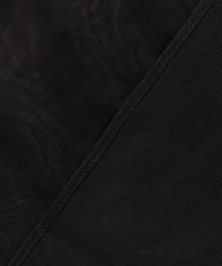 BEIGE， PLUMERIA / コットンシアーギャザーブラウス Black