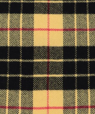 J.PRESS MEN カシミヤマフラー 平織り イエロー系3