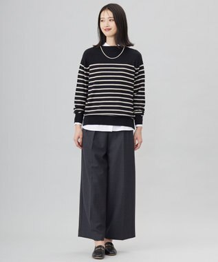J.PRESS LADIES S 【洗える】SOFT TOUCH WOOL 立ち襟 ボーダー ニット ブラック×ベージュ系