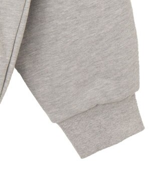 WEGO ワッペンロゴジップパーカー 杢グレー