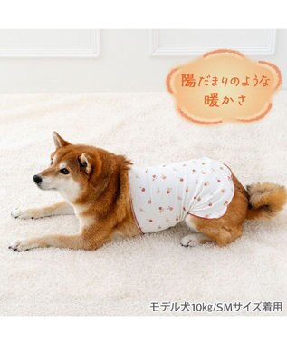 PET PARADISE ペットパラダイス ペティヒート 天竺 腹巻 《いちご柄》 中型犬 ホワイト