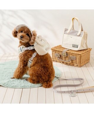 PET PARADISE ペットパラダイス くまちゃん チャームリード ４Ｓ～３Ｓ ベージュ