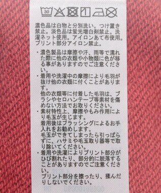 Green Parks トイストーリー／ピザフロッキープルオーバー Red