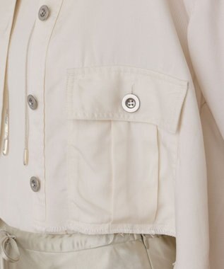 GRACE CONTINENTAL ハーフスリーブルーズシャツ キナリ