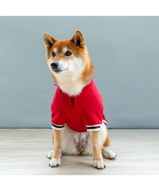 PET PARADISE Lee ジップUP トレーナー 《レッド》 中型犬 大型犬 レッド