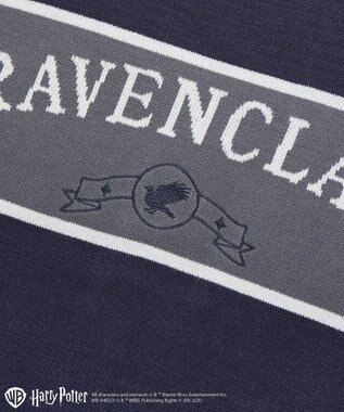 Green Parks ハリー・ポッター／ジャガードラインニット Navy