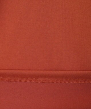 Columbia Columbia/ エルデンパスグラフィックショートスリーブTシャツ /コロンビア Teak Brown Back Print Botanical