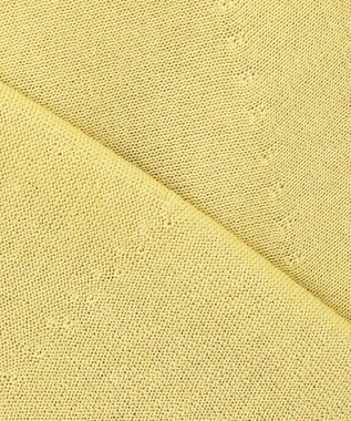 J.PRESS LADIES S 【洗える・抗菌防臭】COTTON ACETATE DRY バタフライスリーブ カーディガン ピスタチオ系