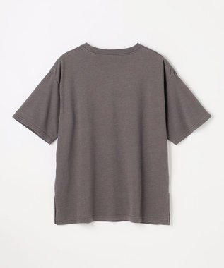 ANY ピグメントアソートロゴＴシャツ スレート