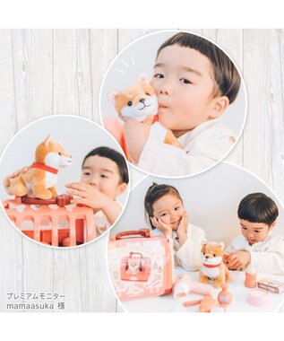 Mother garden マザーガーデン わんちゃん お世話 キャリーセット トリミングセット付き 茶色プードル