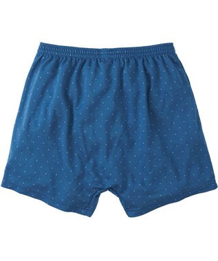 WACOAL MEN トランクス なめらかな肌ざわり やわらかなはき心地 前開き 下着 メンズ GT7071 /ブロス バイ ワコールメン ブルー