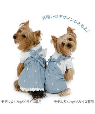 PET PARADISE ペットパラダイス 刺繍 パンツつなぎ 小型犬 ライトインディゴブルー