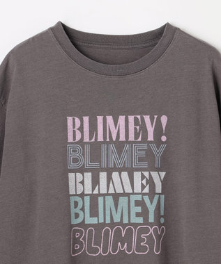 ANY ピグメントアソートロゴＴシャツ スレート
