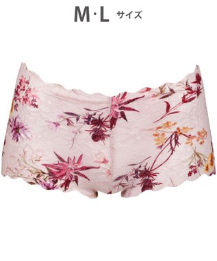 WACOAL ショーツ 【GOCOCi ゴコチ】 CGG297とペア 肌あたりのやさしいレース アウターにひびきにくい はきこみ丈あさめ レディース PGG197 /ワコール