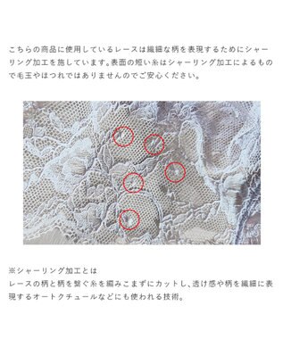 BRADELIS New York 【BRADELIS New York/ 育乳補整ブラ・STEP2 寄せる】ベルステップ2ブラ26S2 ライラック