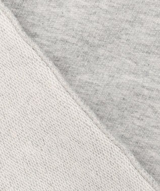 ANY L 【洗濯機可】刺繍ロゴミニ裏毛スウェット ライトグレー