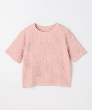 ANY L レースショート丈Tシャツ ピンク