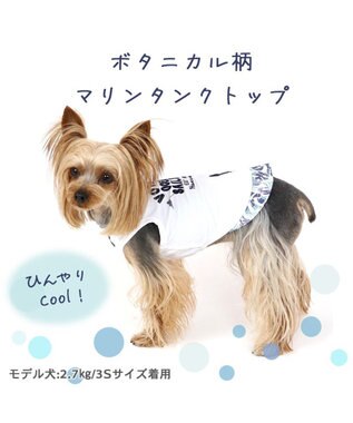 PET PARADISE ペットパラダイス マリン柄 タンクトップ 【小型犬】 白~オフホワイト