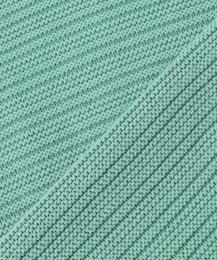 J.PRESS MEN 【KING SIZE】ドライコットン シャドーボーダーニット ライトグリーン系