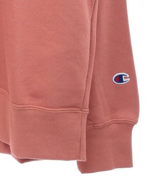 Green Parks ■Ｃｈａｍｐｉｏｎ　クルーネックスウェット Brown