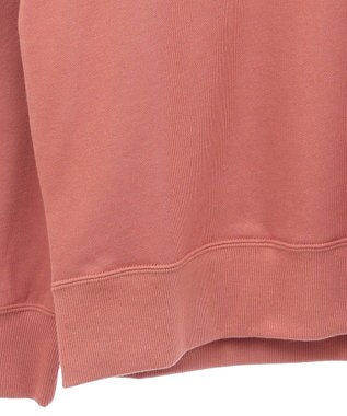 Green Parks ■Ｃｈａｍｐｉｏｎ　クルーネックスウェット Brown