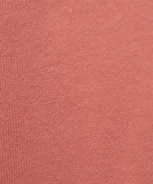 Green Parks ■Ｃｈａｍｐｉｏｎ　クルーネックスウェット Brown