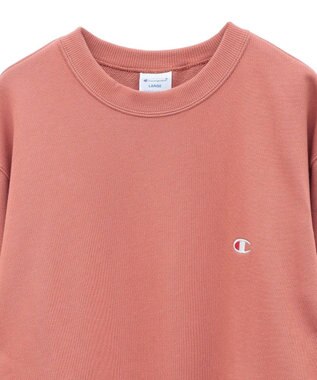 Green Parks ■Ｃｈａｍｐｉｏｎ　クルーネックスウェット Brown