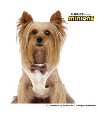 PET PARADISE ミニオン ティム ベストハーネス 《アーガイル》 小型犬 SS