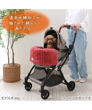 PET PARADISE ペットパラダイス 遠赤外線 アランボア カート用 クッション レッド