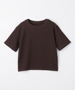 ANY L レースショート丈Tシャツ ブラウン