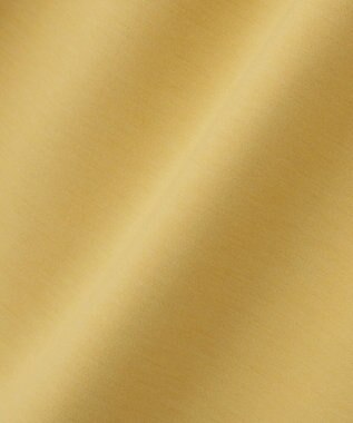 Green Parks ウエストタックＩラインカットスカート Yellow