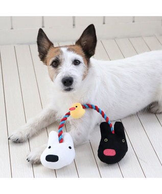 PET PARADISE リサとガスパール お友達 ロープ トイ 0