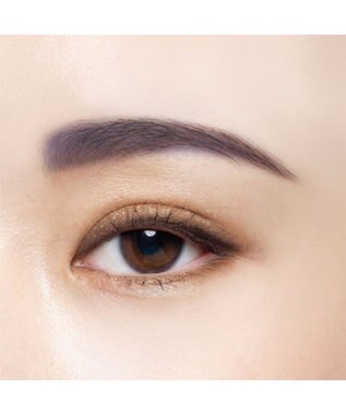 Chacott Cosmetics フェイスカラーパレット【511】パラレルワールド ー