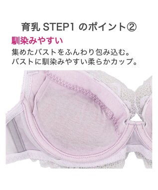 BRADELIS New York 【BRADELIS New York / 育乳補整ブラ・STEP1 集める】ジャスミンステップ1ブラ24A2 ライトグレー