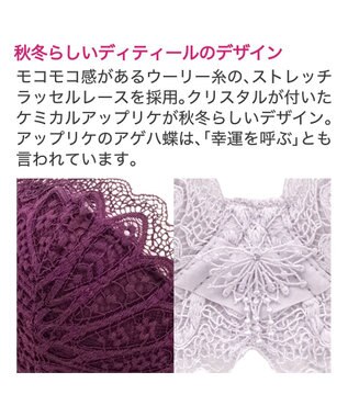 BRADELIS New York 【BRADELIS New York / 育乳補整ブラ・STEP1 集める】ジャスミンステップ1ブラ24A2 ライトグレー